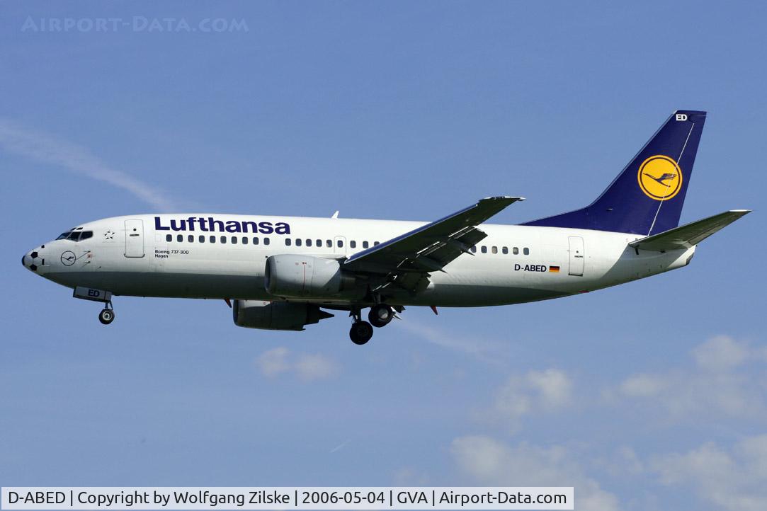 D-ABED, 1991 Boeing 737-330 C/N 25215, football nose