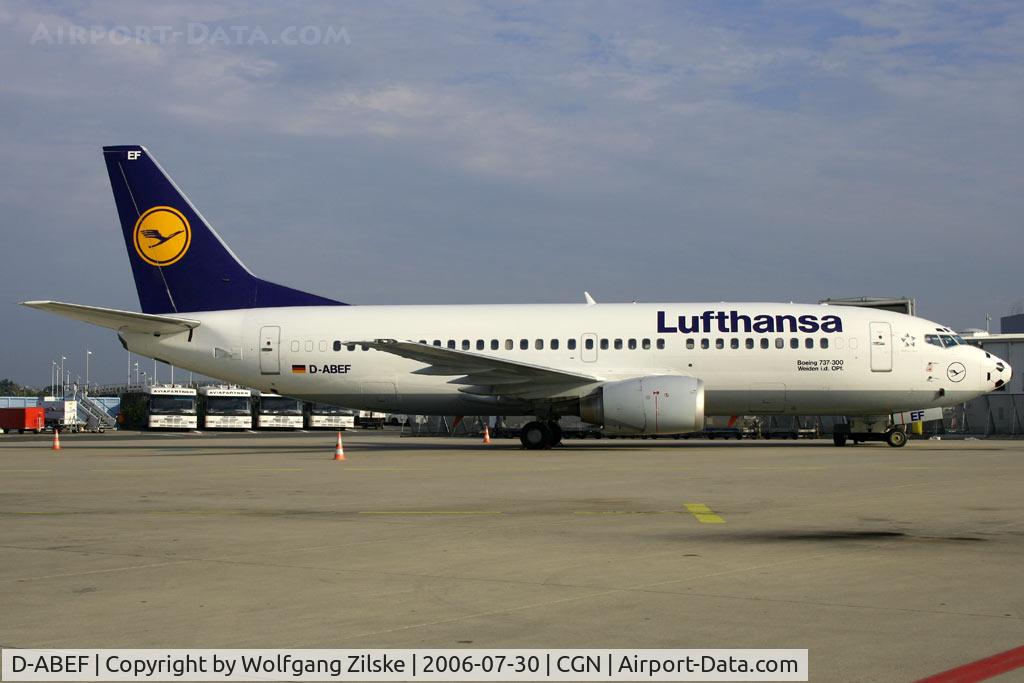 D-ABEF, 1991 Boeing 737-330 C/N 25217, soccer nose