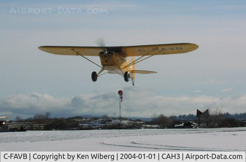 C-FAVB, 1948 Piper PA-17 Vagabond C/N 17-51, Only one bird playing on a snow covered runway at Courtenay Airpark on New Years Day, 2004!
