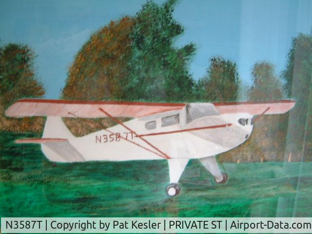 N3587T, 1976 Taylorcraft F-19 Sportsman C/N F-058, oil painting of n3587t