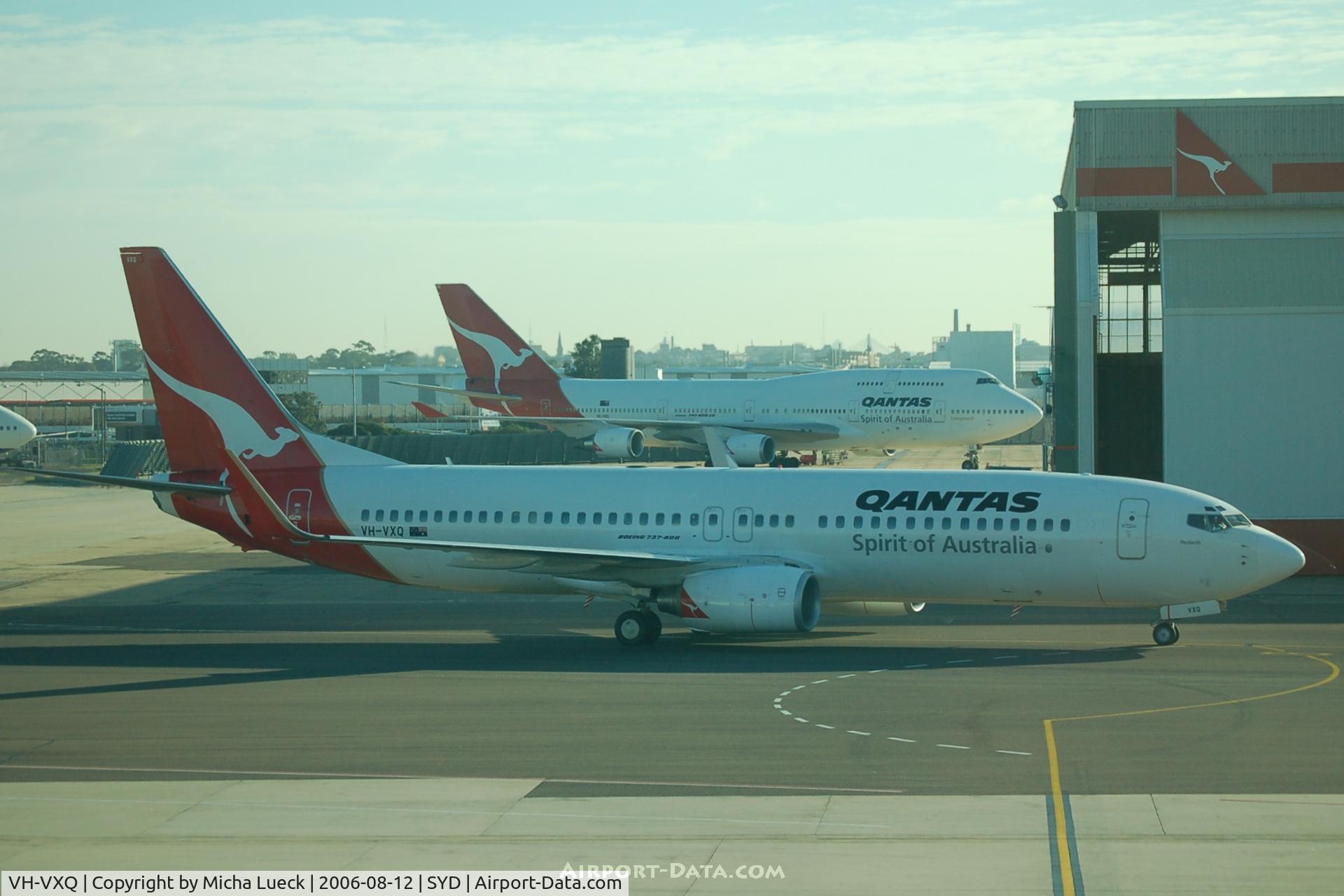 VH-VXQ, 2003 Boeing 737-838 C/N 33723, Taxiing to the gate at Sydney's domestic terminal