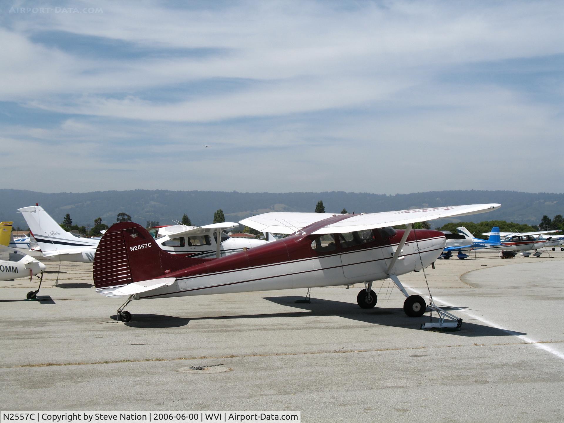 N2557C, 1954 Cessna 170B C/N 26201, Another shot of 1954 Cessna 170B in sunshine @ Watsonville Municipal Airport, CA