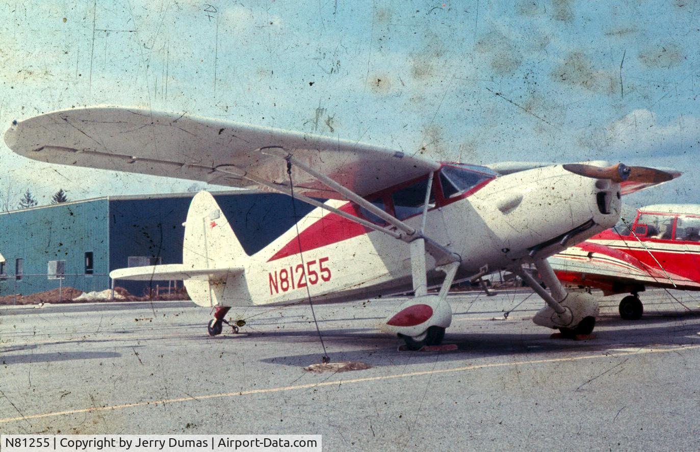 N81255, 1946 Fairchild 24R-46 C/N R46155, other photo is in error, this one was taken in the mid 60s at Albany airport