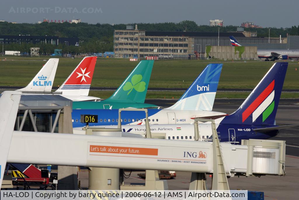 HA-LOD, 2003 Boeing 737-6Q8 C/N 28259, tails