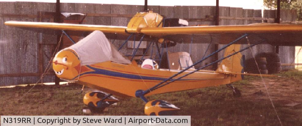 N319RR, 1974 Woodys Pusher WAS-2 C/N 166, hangered and tied down at Pine Prairie International