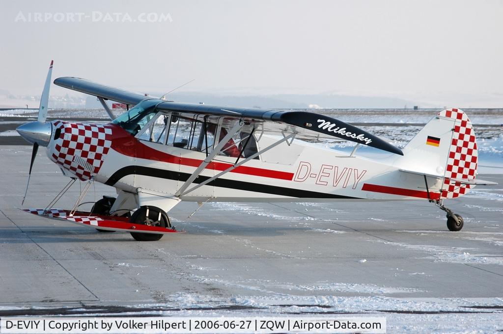 D-EVIY, 1990 Christen A-1 Husky C/N 1156, Aviat Husky