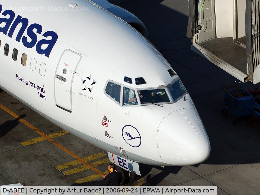 D-ABEE, 1991 Boeing 737-330 C/N 25216, Lufthansa