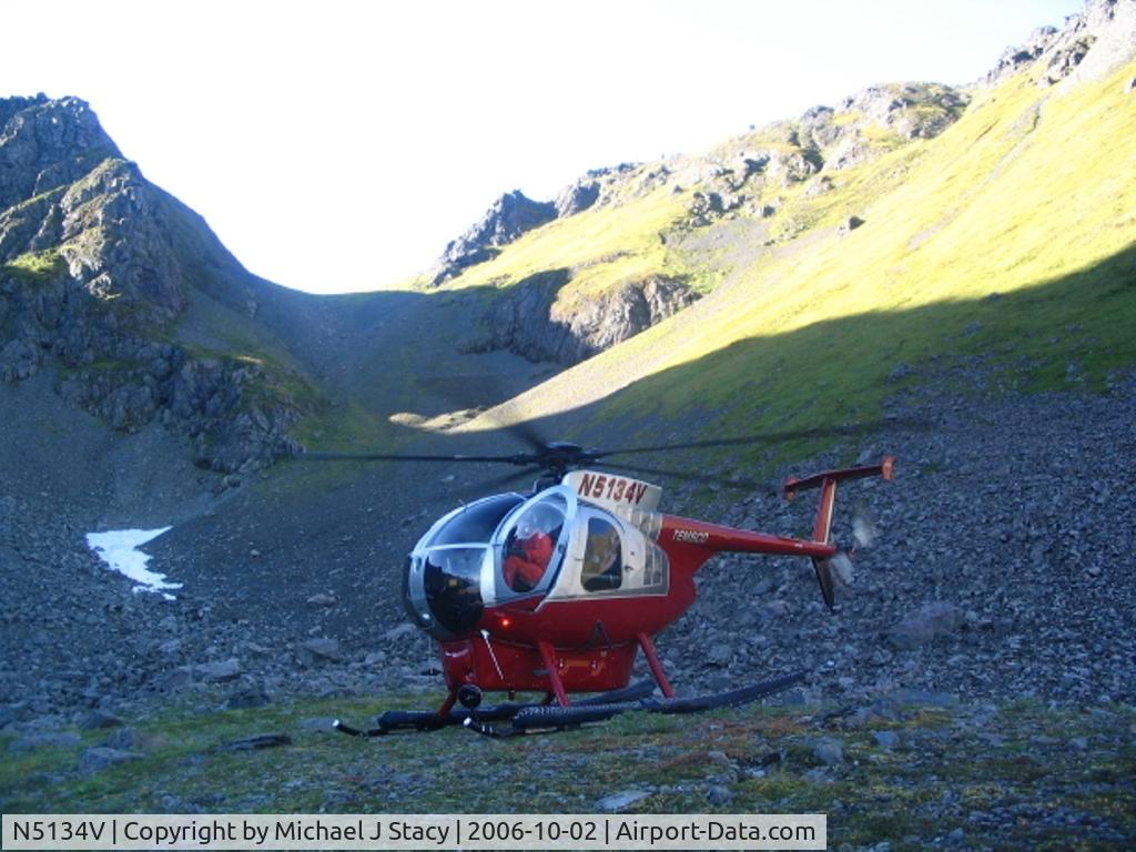 N5134V, 1982 Hughes 369D C/N 1103D, the helicopter was waiting for the crew to hike down