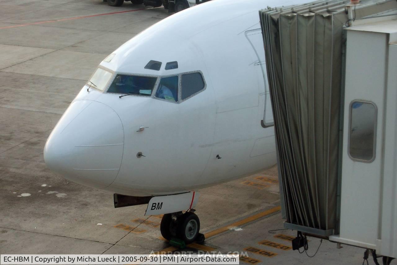 EC-HBM, 1999 Boeing 737-85P C/N 28382, Air Europa jet at Palma de Mallorca