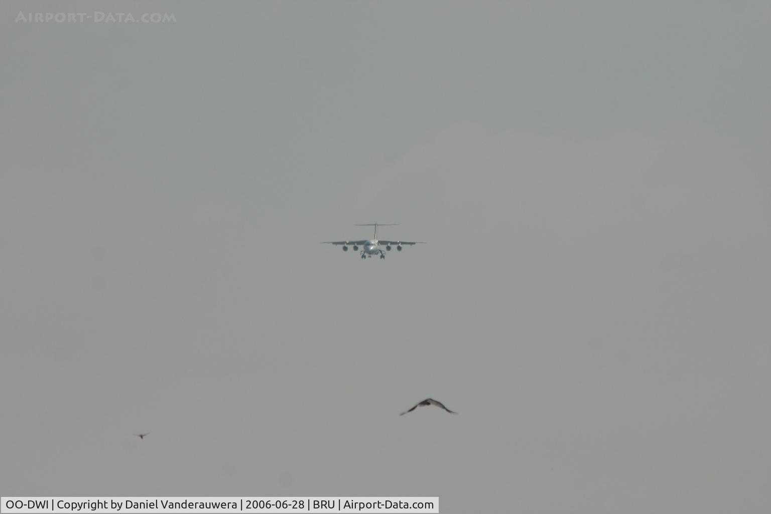 OO-DWI, 1999 British Aerospace Avro 146-RJ100 C/N E3342, arrival of OO-DWI with birds flying close to rwy 25L