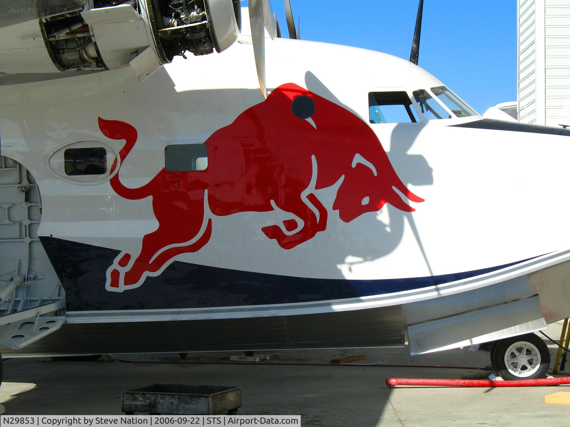 N29853, 1957 Grumman HU-16E Albatross C/N G-335, CLOSE-UP RED BULL logo on nose of 1951 Grumman HU-16E (ex USCG 17246) under rebuild @ Sonoma County Airport (Santa Rosa), CA