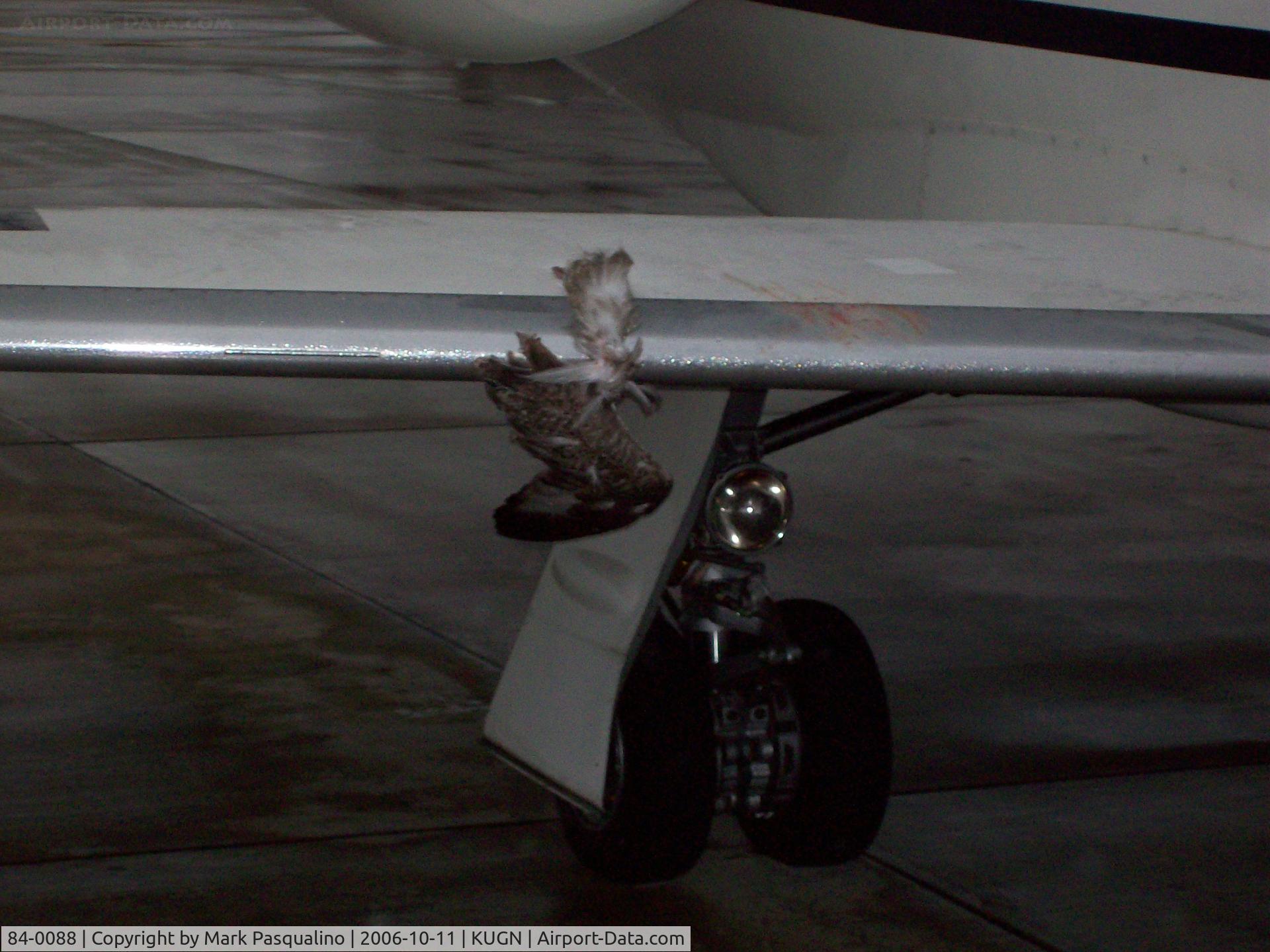 84-0088, 1984 Learjet 35A C-21A C/N 35A-534, C-21A  Bird strike