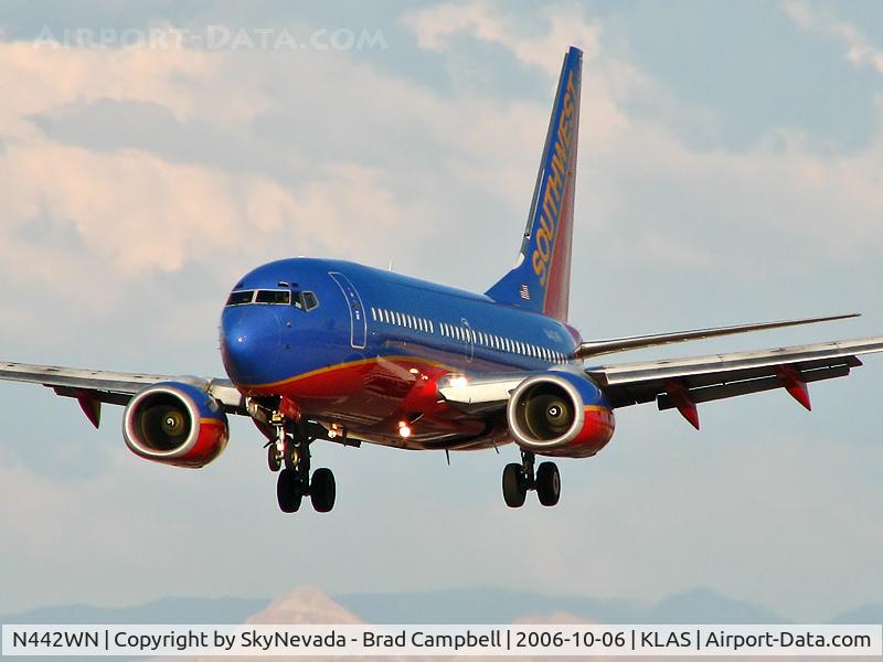 N442WN, 2003 Boeing 737-7H4 C/N 32459, Southwest Airlines / 2003 Boeing 737-7H4