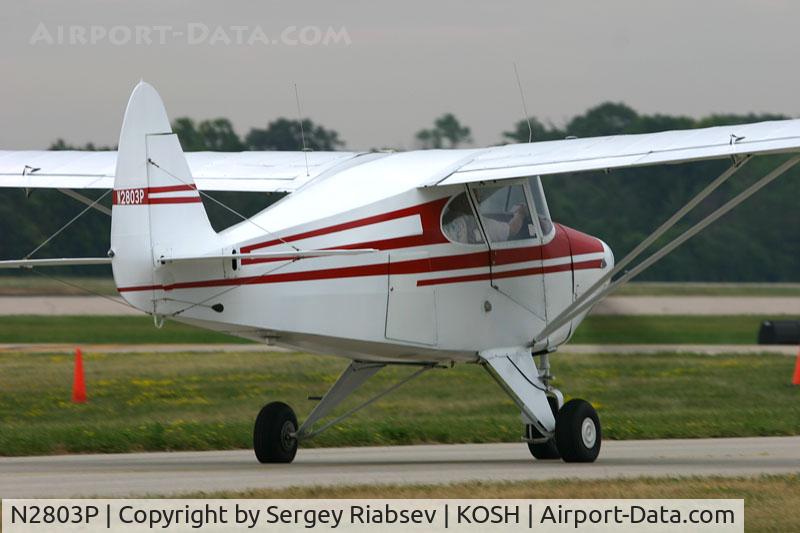 N2803P, 1955 Piper PA-22-150 C/N 22-3095, EAA AirVenture 2005