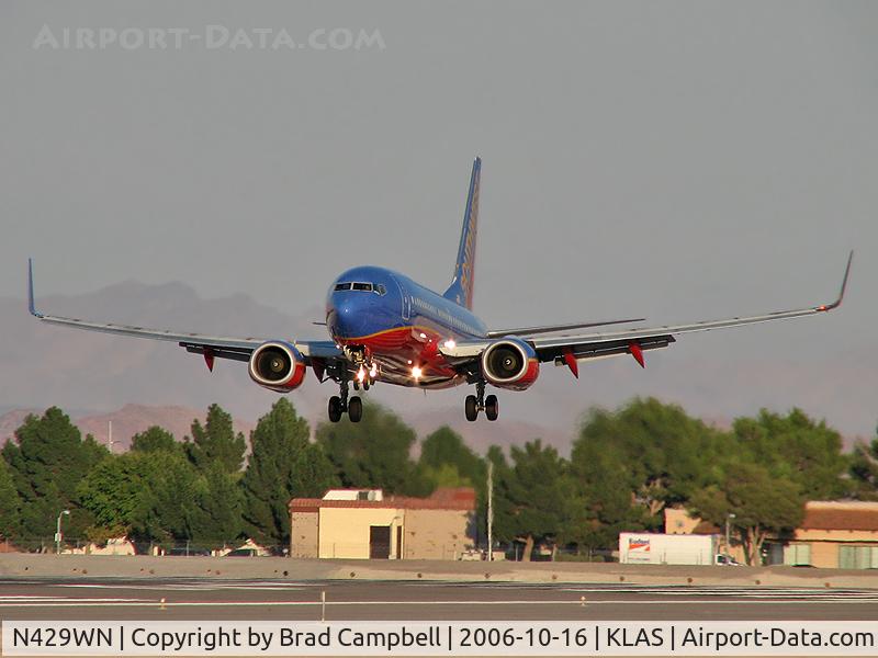 N429WN, 2002 Boeing 737-7H4 C/N 33658, Southwest Airlines / 2002 Boeing 737-7H4