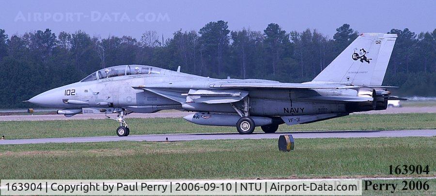 163904, Grumman F-14D Tomcat C/N 614/D-19, Profile study of this magnificent Grumman beast