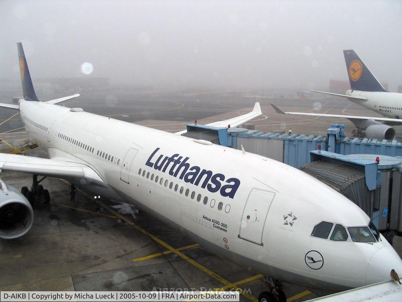 D-AIKB, 2004 Airbus A330-343X C/N 576, Little bird (bottom right) watching big bird....