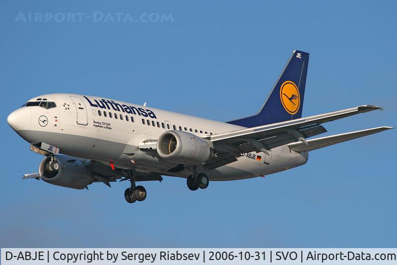 D-ABJE, 1991 Boeing 737-530 C/N 25310, Landing at SVO