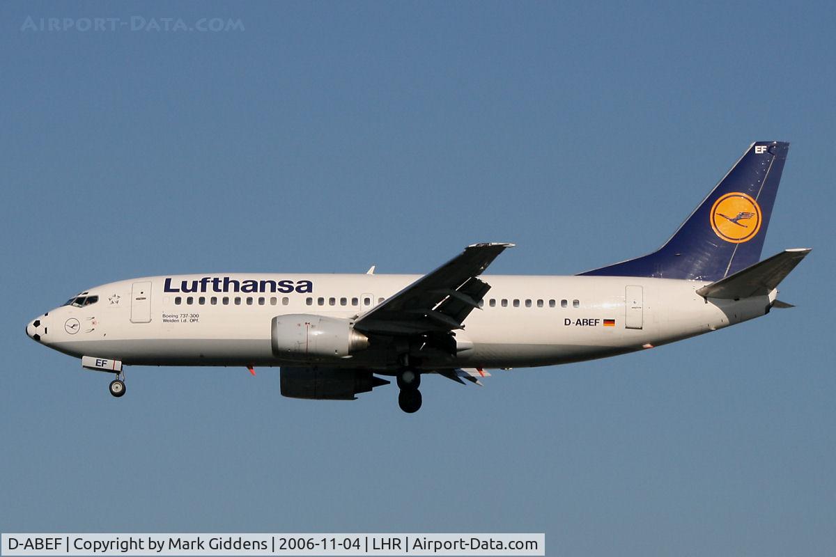 D-ABEF, 1991 Boeing 737-330 C/N 25217, D-ABEF Boeing 737-330 Lufthansa
