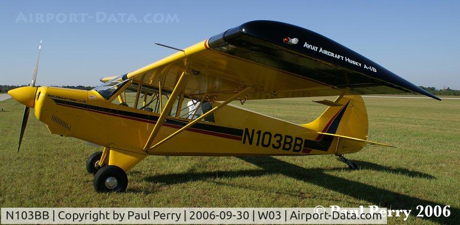 N103BB, 2000 Aviat A-1B Husky C/N 2060, Up close with the wingtip