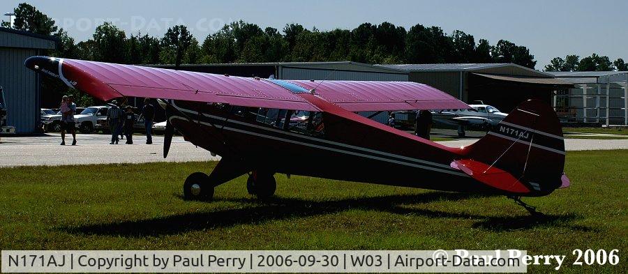 N171AJ, 2004 Aviat A-1B Husky C/N 2280, I'd say 'basking' is the right word