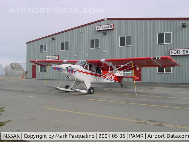 N55AK, 2000 Aviat A-1B Husky C/N 2129, Husky A-1B
