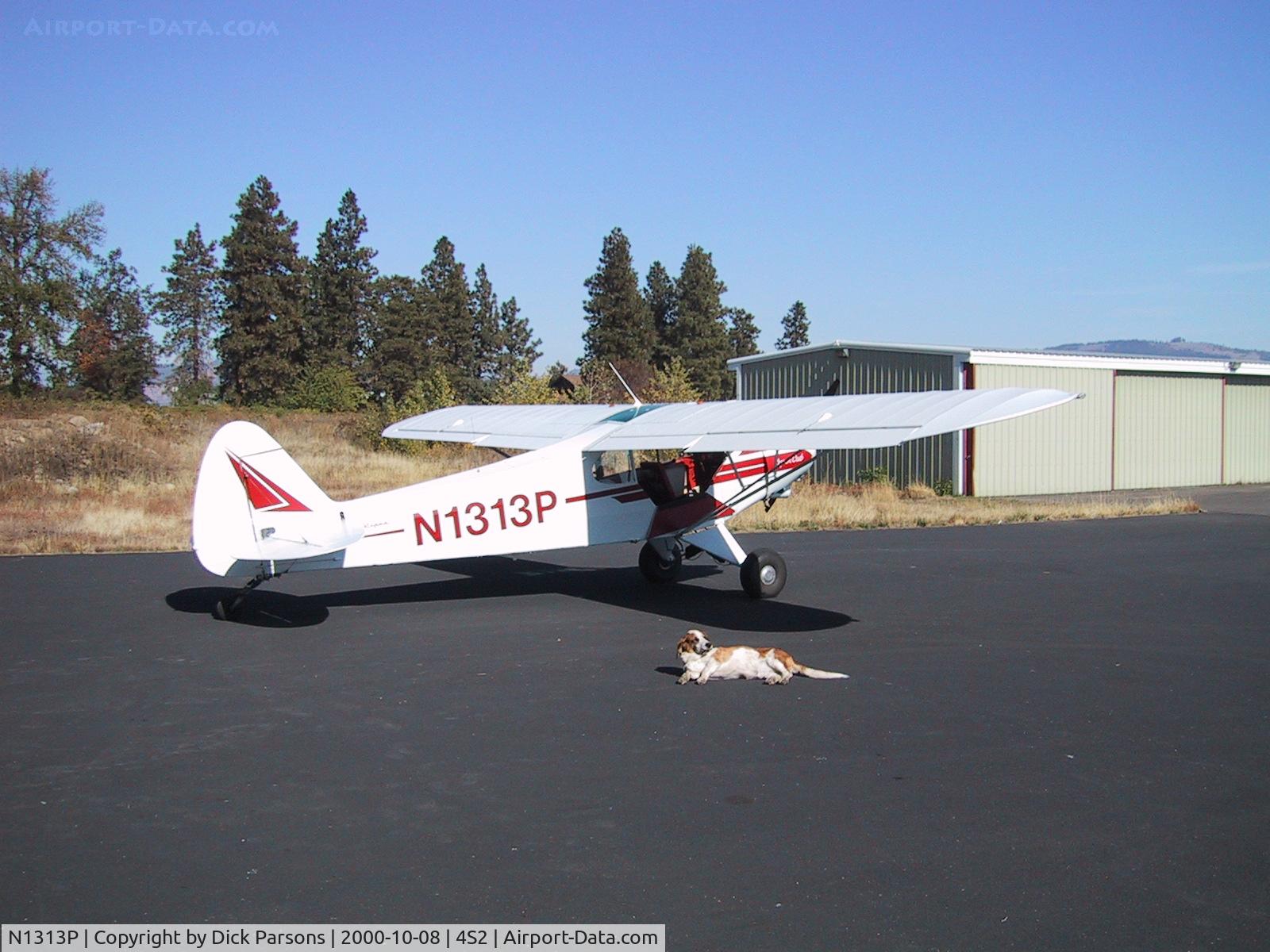 N1313P, 1974 Piper PA-18-150 Super Cub C/N 18-7409030, Super Cub