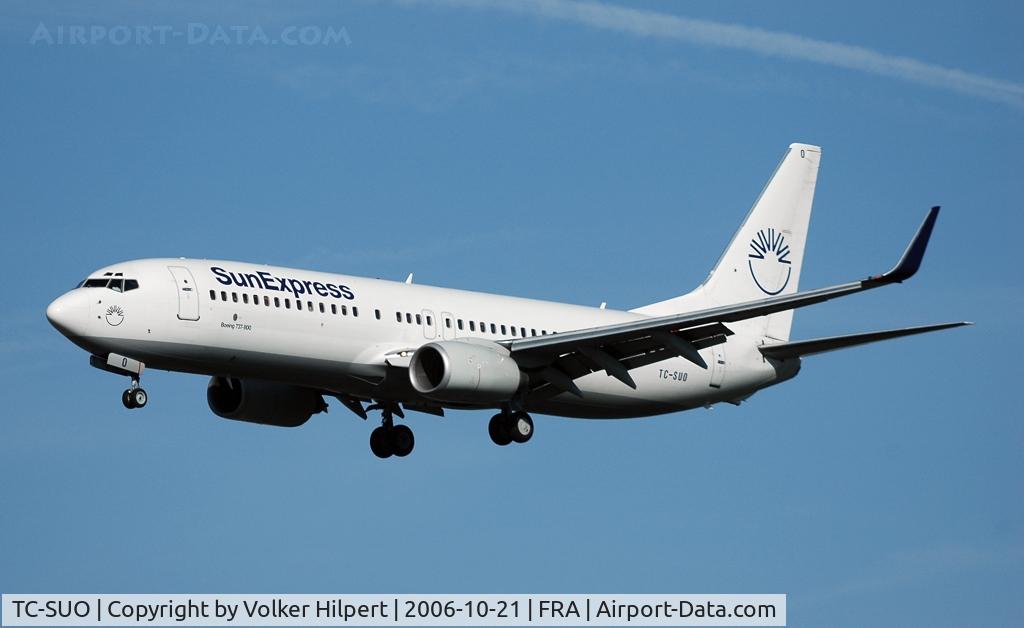 TC-SUO, 2001 Boeing 737-86Q C/N 30272, Sunexpress 737-86Q winglets