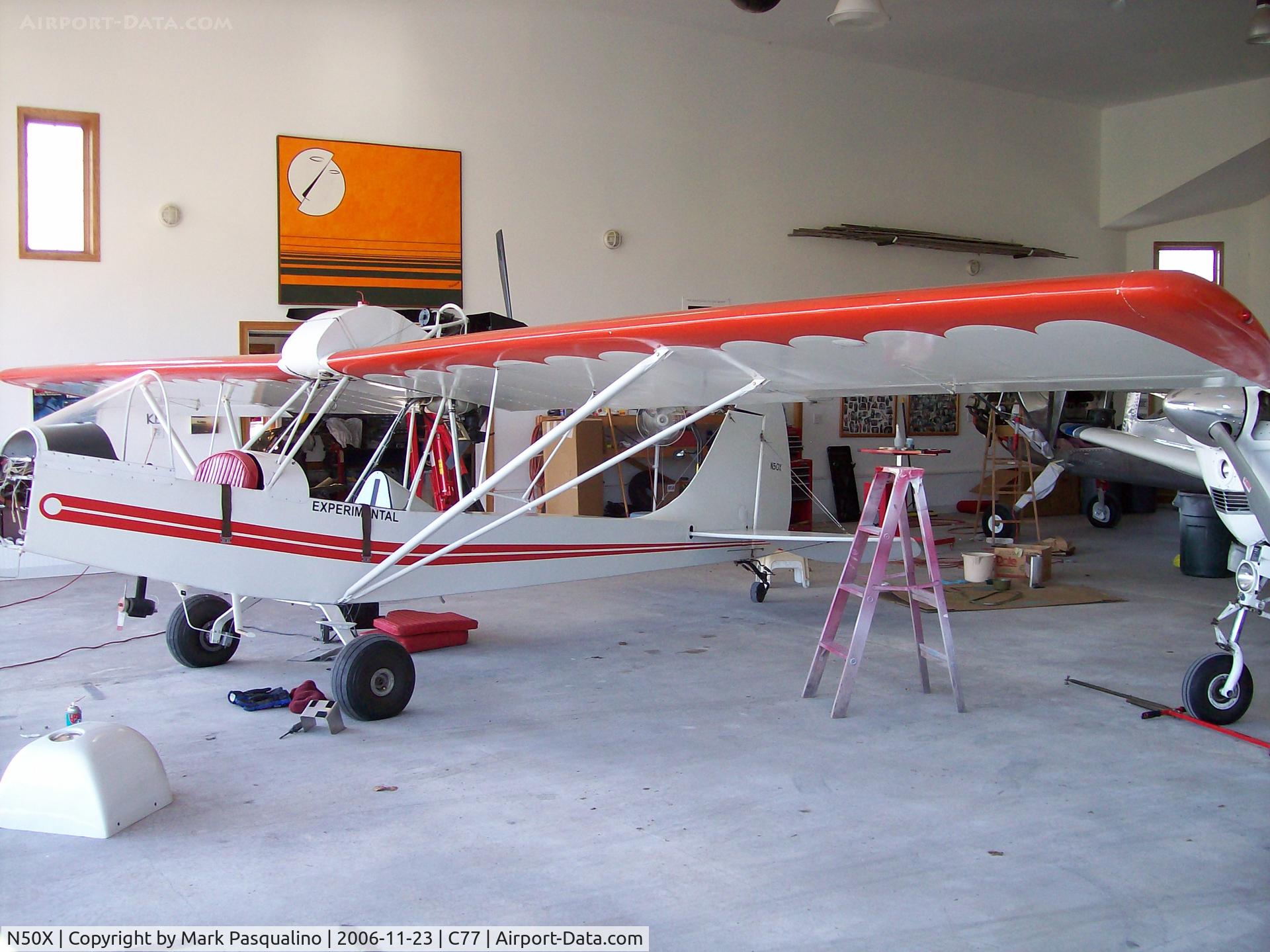 N50X, 1984 Aerosport Woody Pusher WAS-2 C/N 007, Woody Pusher