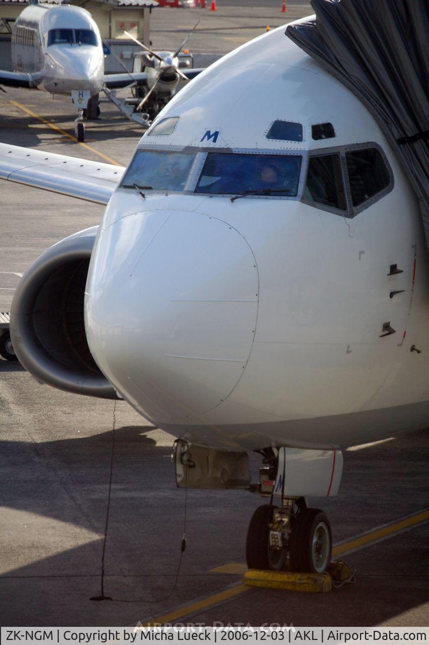 ZK-NGM, 1995 Boeing 737-3K2 C/N 28085, Close-up