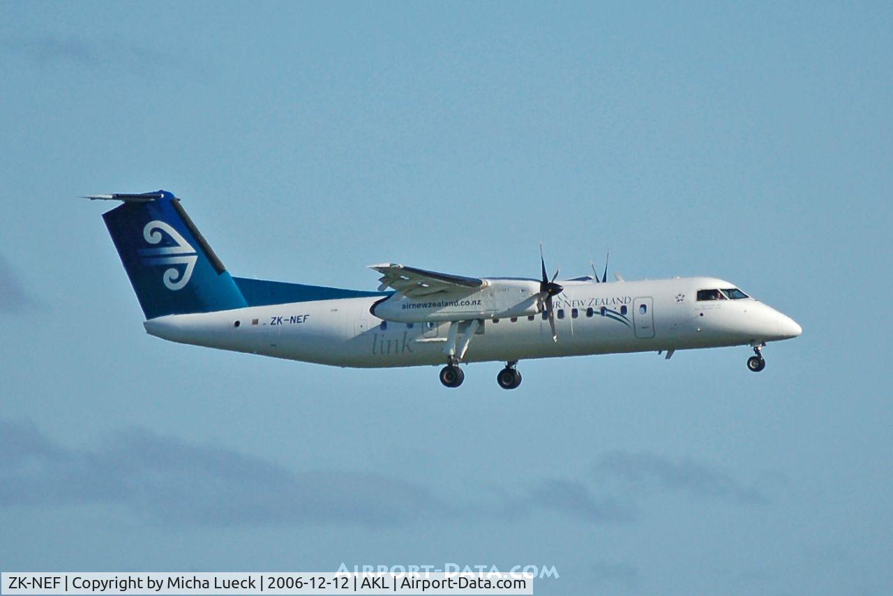 ZK-NEF, 2005 De Havilland Canada DHC-8-311 Dash 8 C/N 620, On short finals