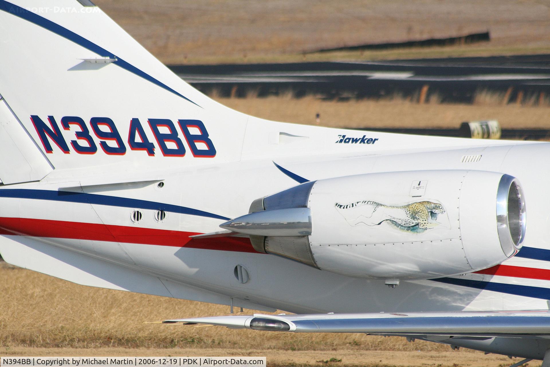 N394BB, Raytheon Aircraft Company 400A C/N RK-364, Tail Art