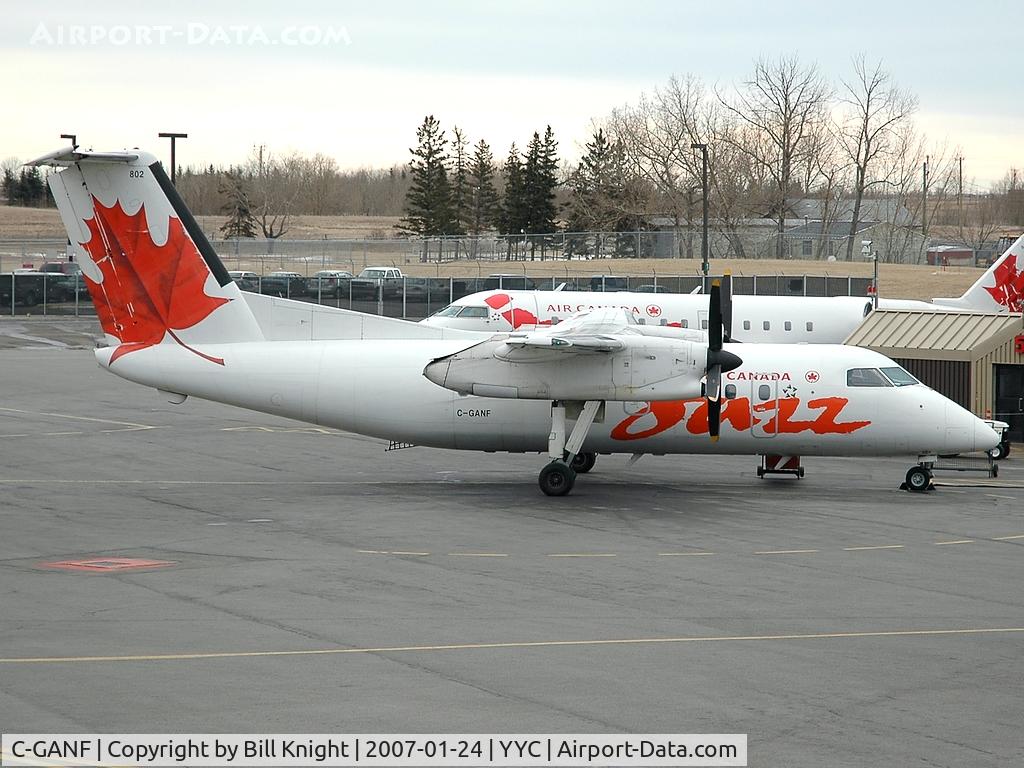 C-GANF, 1986 De Havilland Canada DHC-8-102 Dash 8 C/N 042, Gate shot from departures level