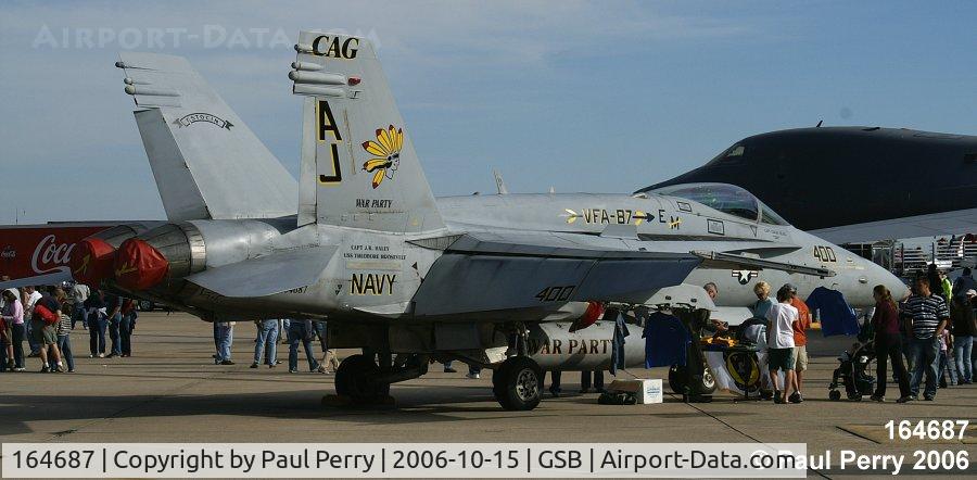 164687, McDonnell Douglas F/A-18C Hornet C/N 1120, The Golden Warrior's on display at Seymour Johnson
