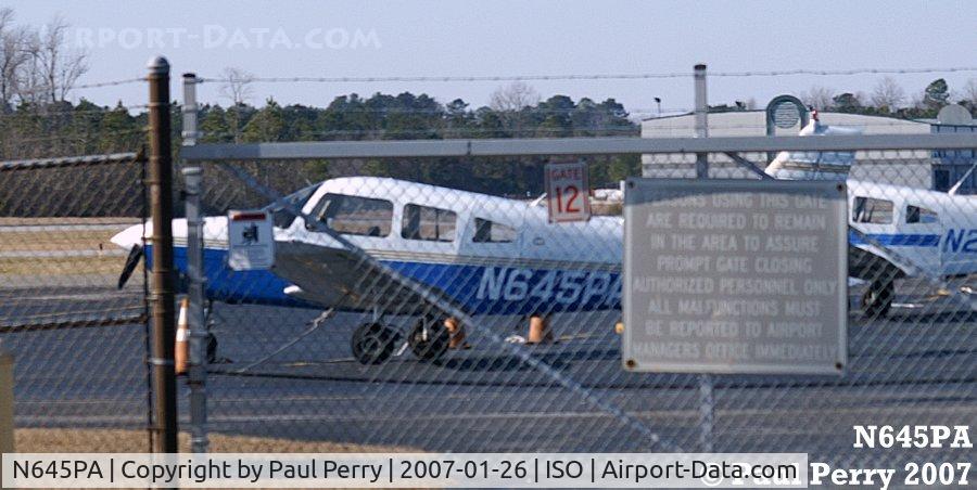 N645PA, 1976 Piper PA-28-151 Cherokee C/N 28-7615399, Some of Henley's birds, just beyond the gate