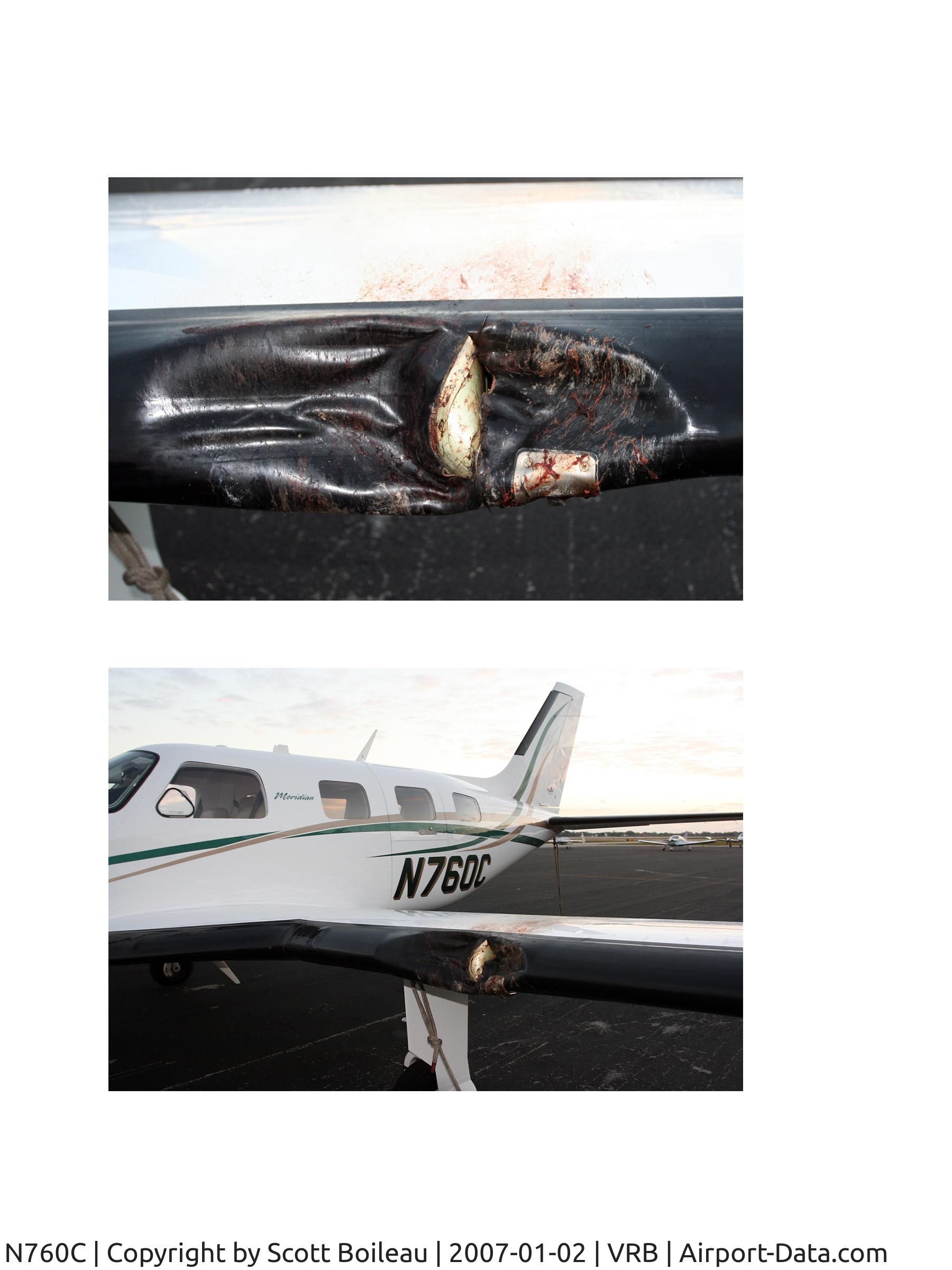 N760C, 2007 Piper PA-46-500TP C/N 4697289, wing damage caused by turkey buzzard on landing approach