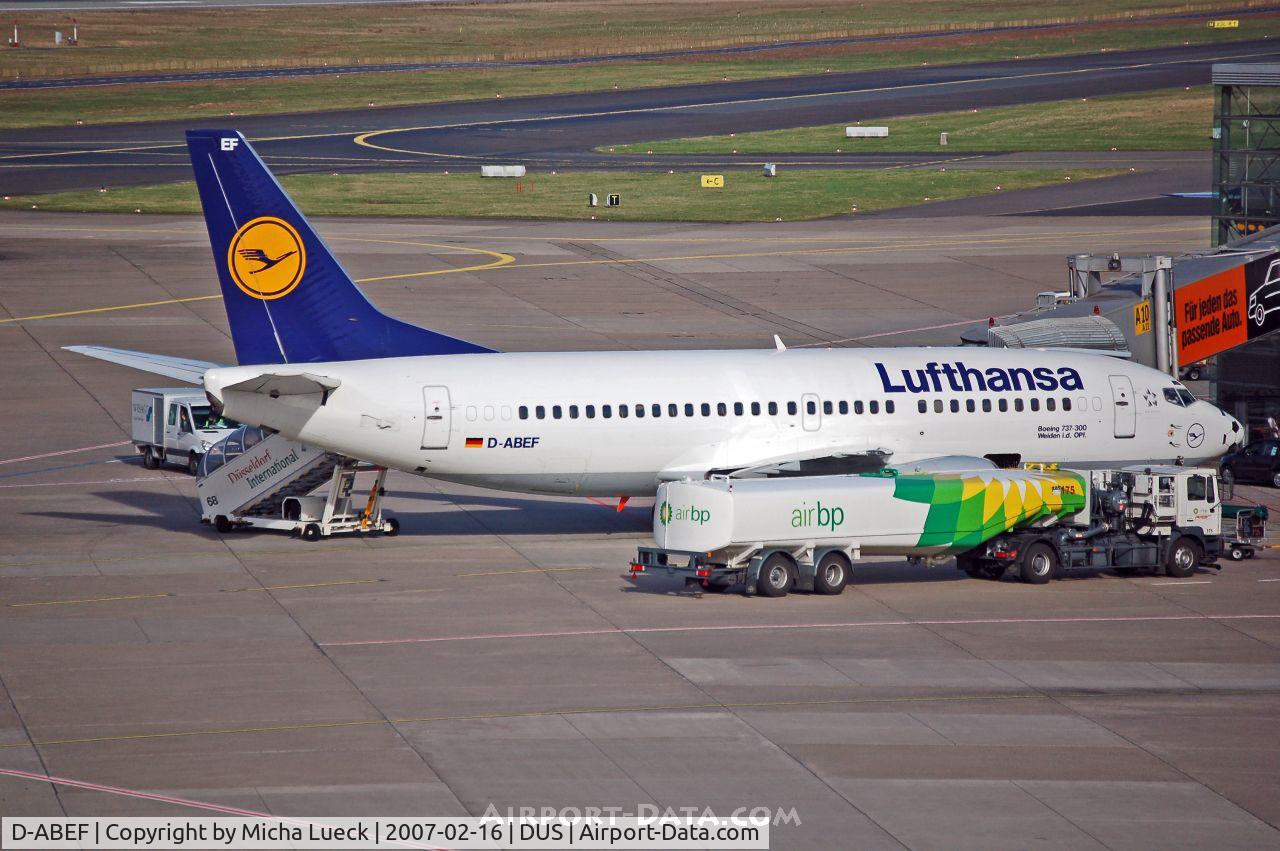 D-ABEF, 1991 Boeing 737-330 C/N 25217, B 737-300 