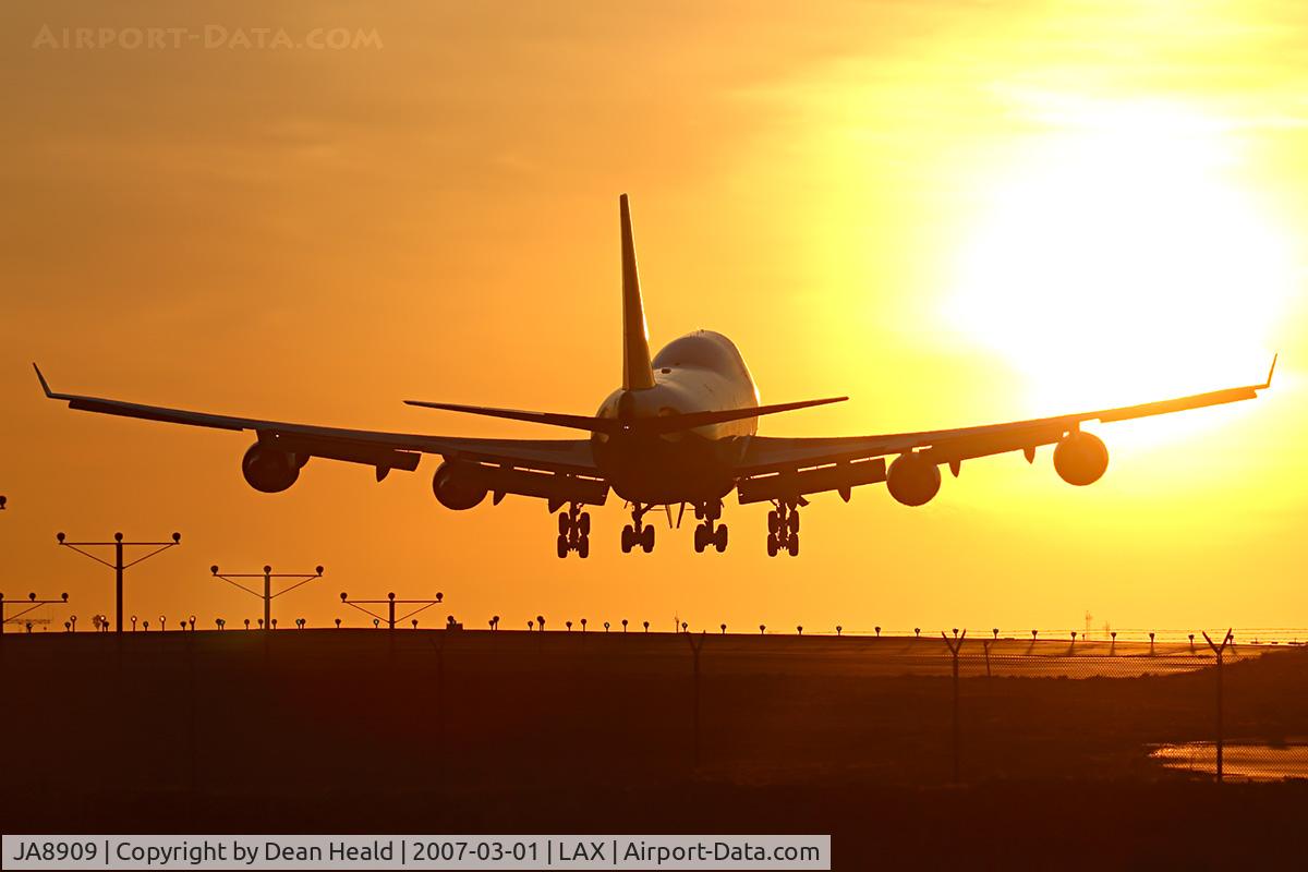 JA8909, 1993 Boeing 747-446 C/N 26353, JAL Cargo JA8909 seconds from landing on RWY 24R into the setting sun.