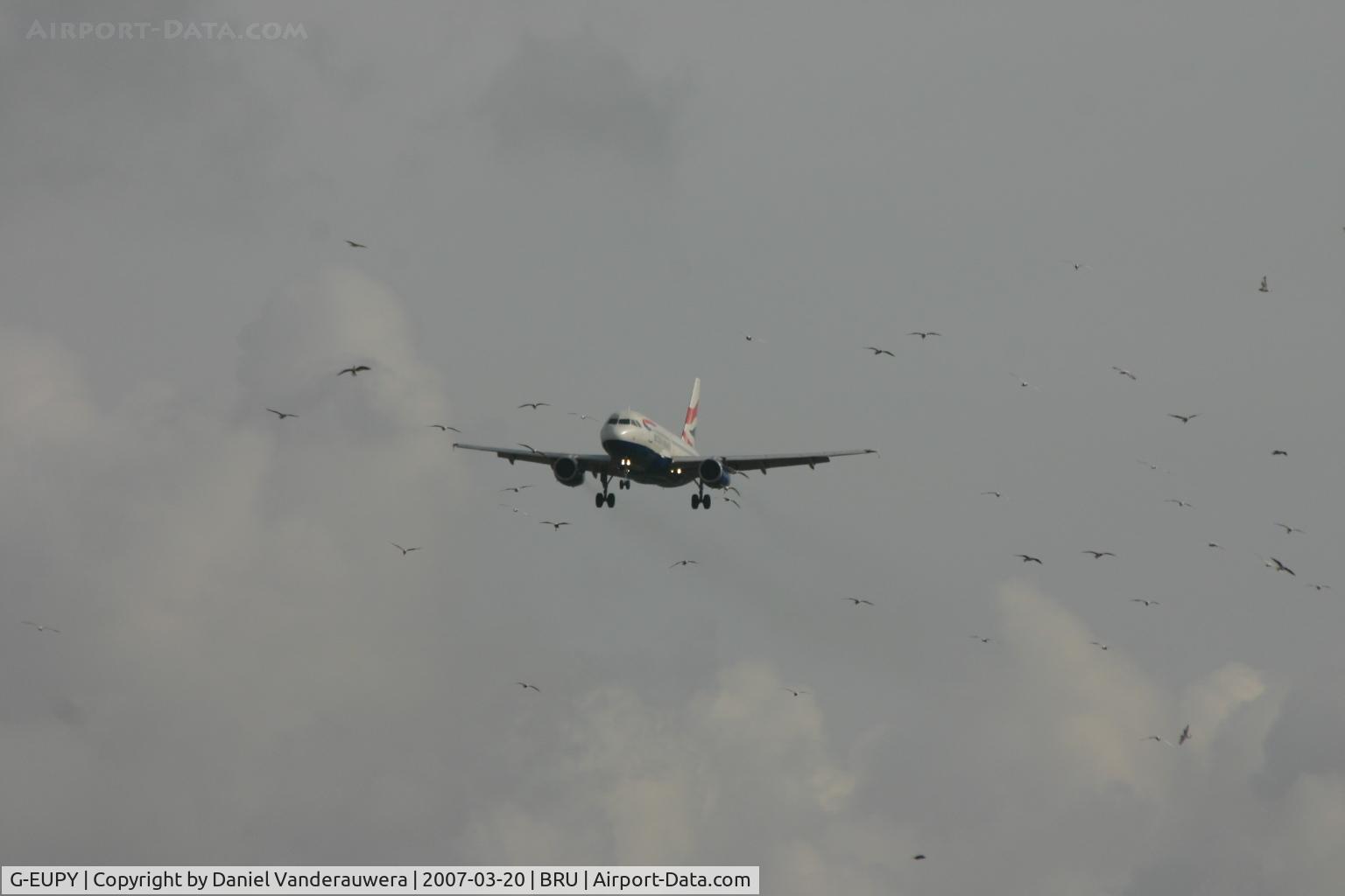 G-EUPY, 2001 Airbus A319-131 C/N 1466, arrival of flight BA392 - do not worry for the birds
