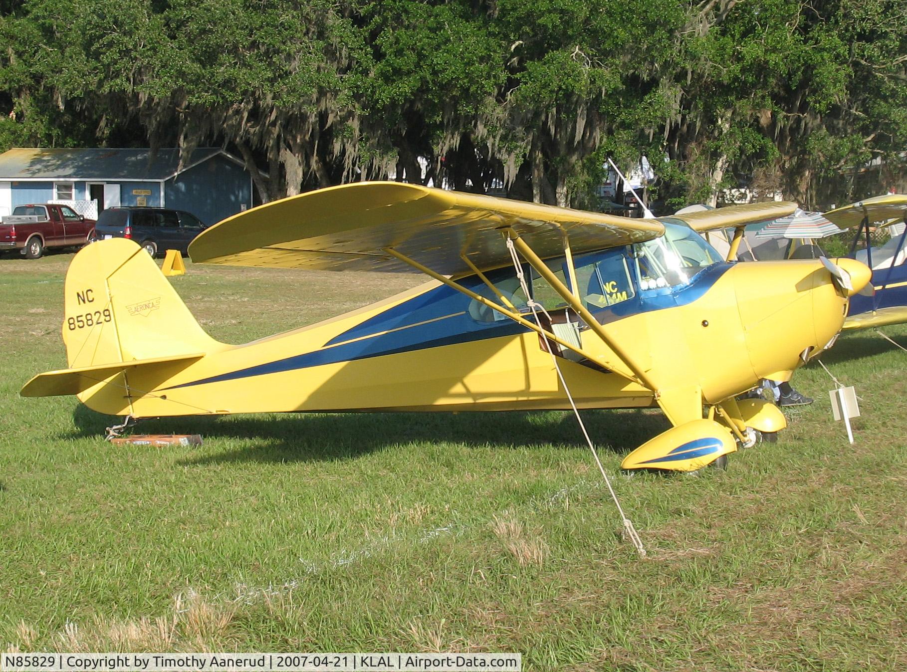 N85829, 1946 Aeronca 11AC Chief C/N 11AC-239, Sun-n-Fun 2007