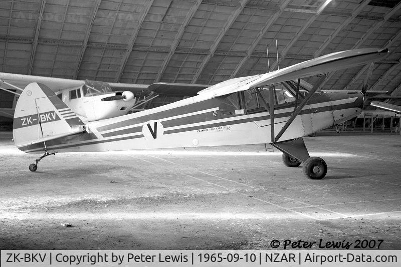 ZK-BKV, Piper PA-18 C/N 18-4643, 95hp Cub, Auckland Aero Club