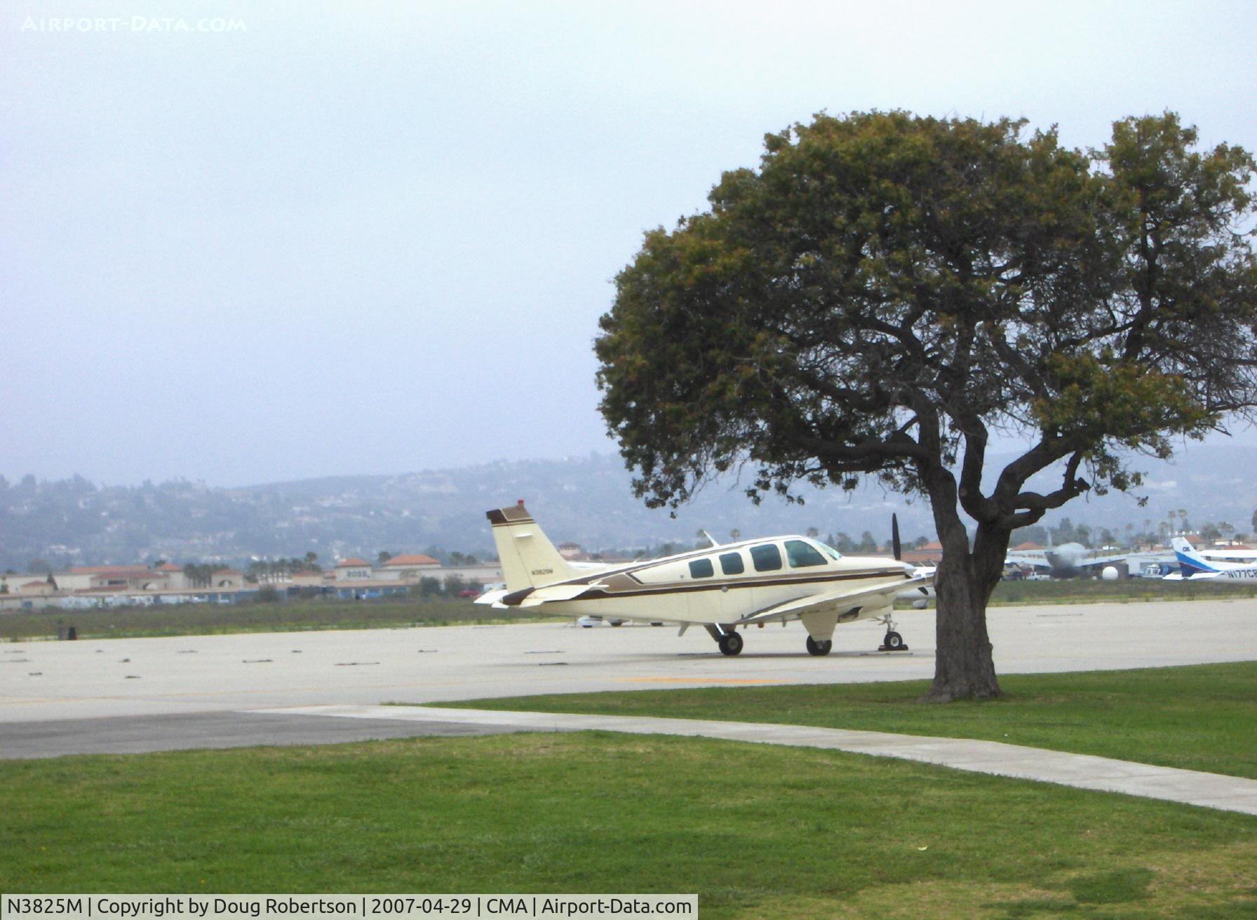 N3825M, 1981 Beech A36 Bonanza 36 C/N E-1813, 1981 Beech A36 BONANZA, Continental IO-520 285 Hp