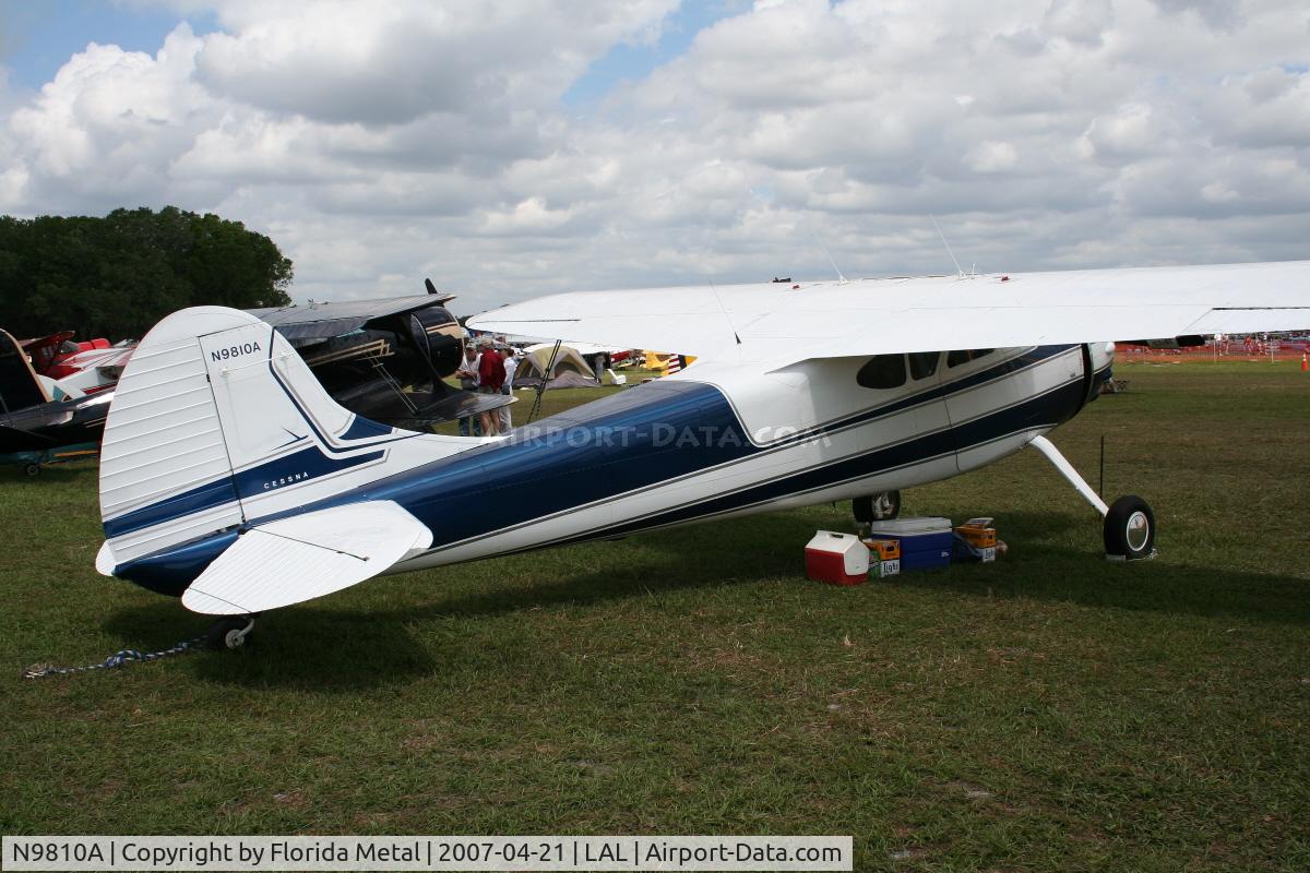 N9810A, 1950 Cessna 195 C/N 7489, C195
