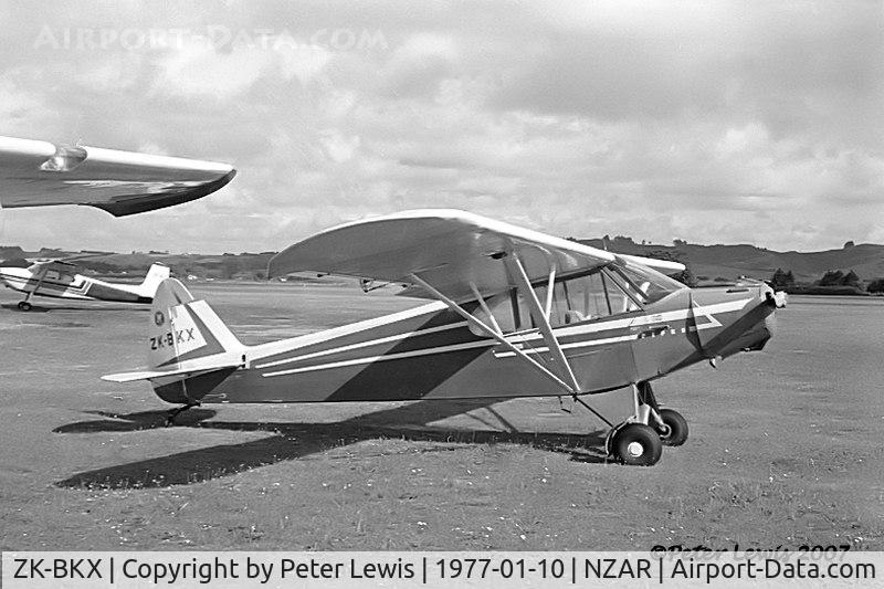 ZK-BKX, Piper PA-18 C/N 18-4864, 95hp Cub, based in the South Island for all of its life