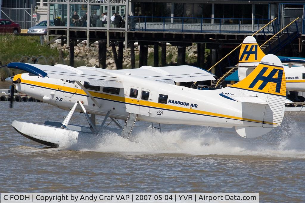 C-FODH, 1952 De Havilland Canada DHC-3T Vazar Turbine Otter Otter C/N 3, Harbour Air DHC-3