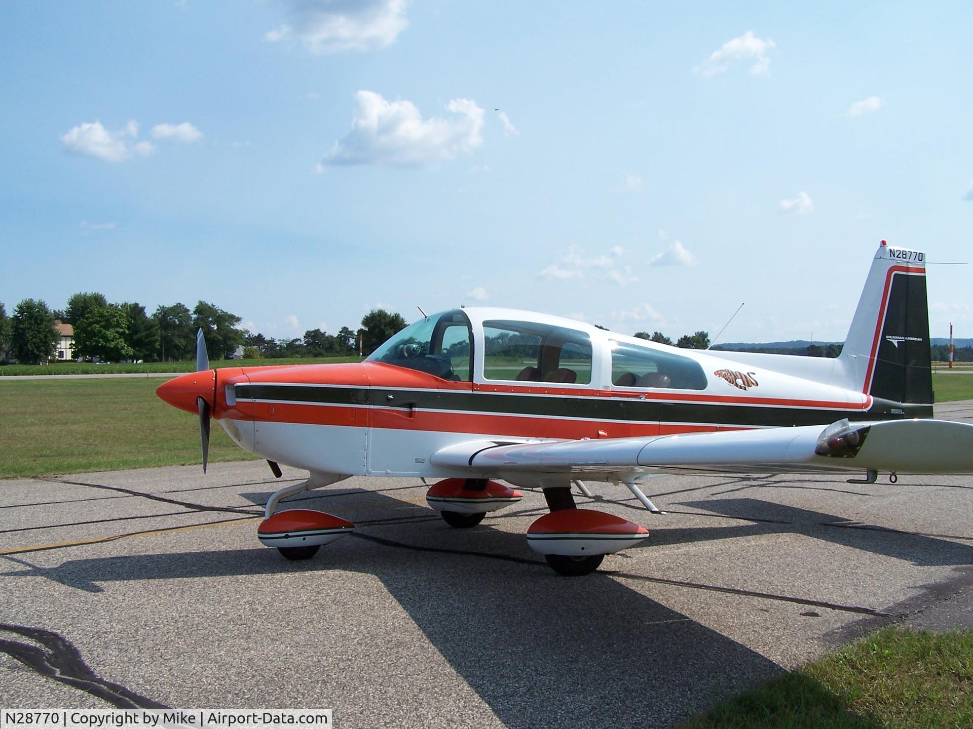 N28770, 1978 Grumman American AA-5B Tiger C/N AA5B0704, Original paint and interior