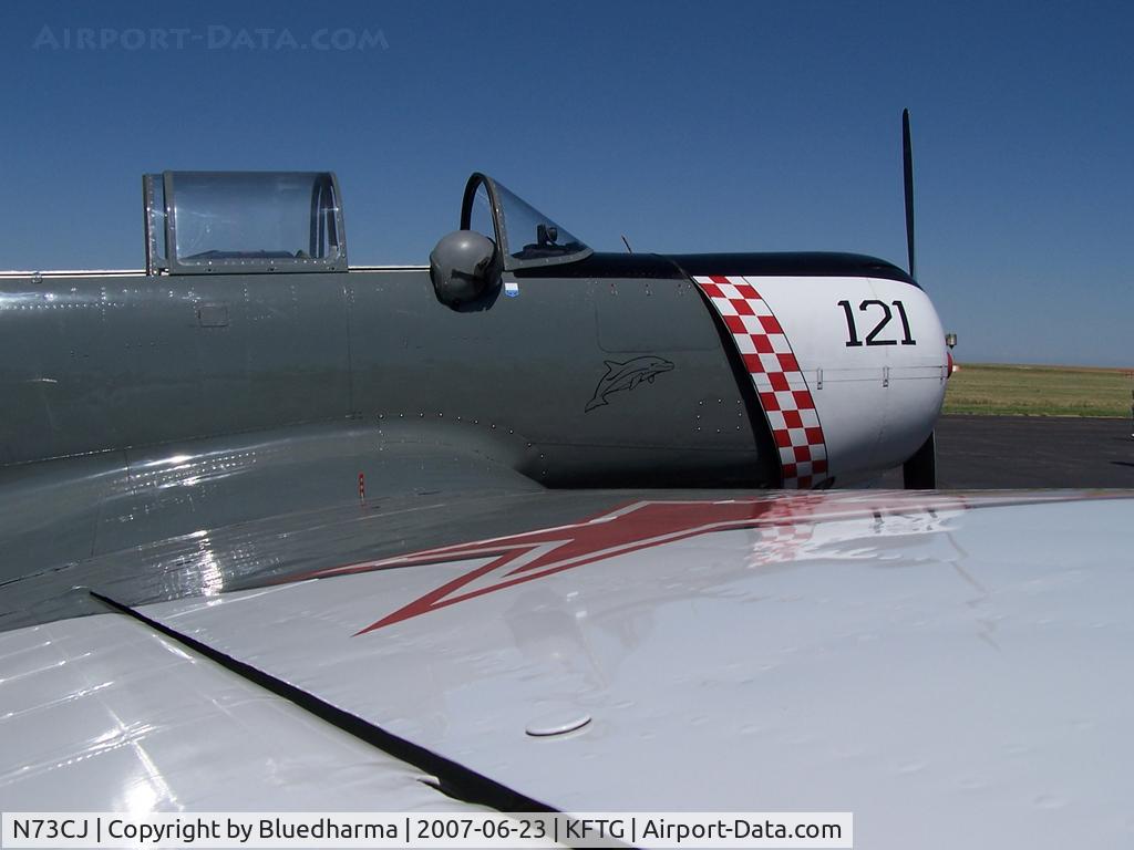 N73CJ, 1973 Nanchang CJ-6A C/N 2951231, Starboard Wing Detail