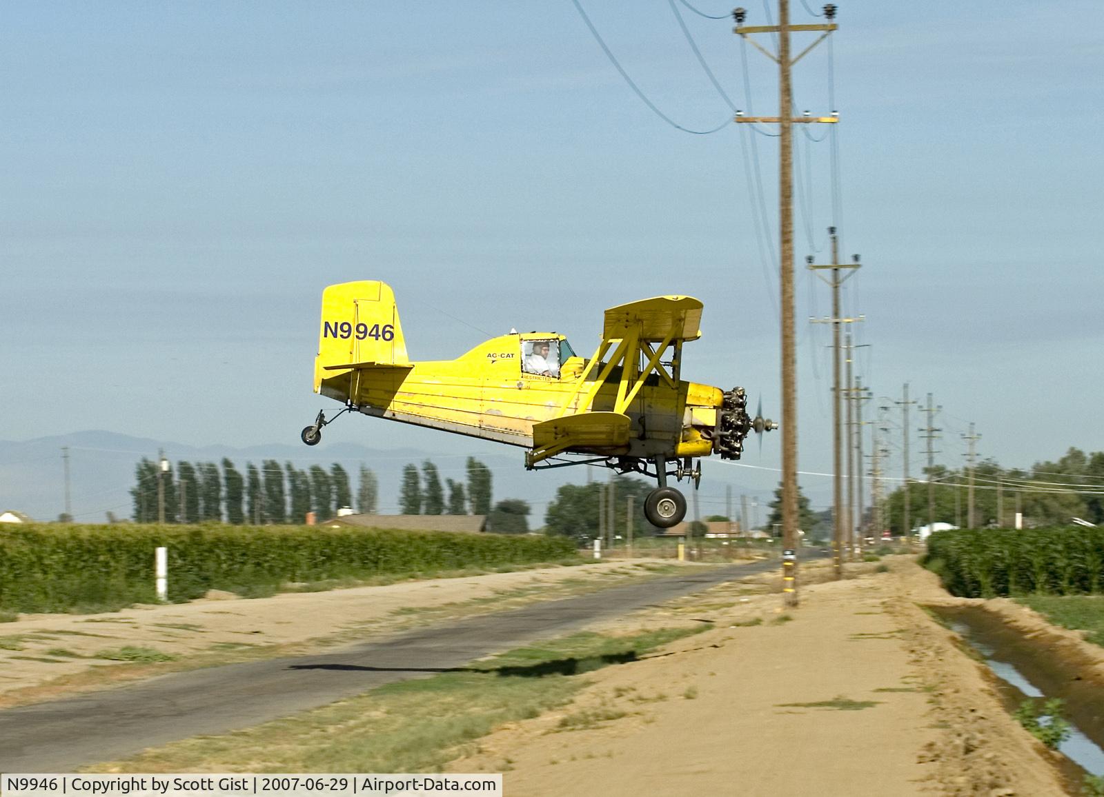 N9946, 1974 Grumman-Schweizer G-164A C/N 1349, The right pic!