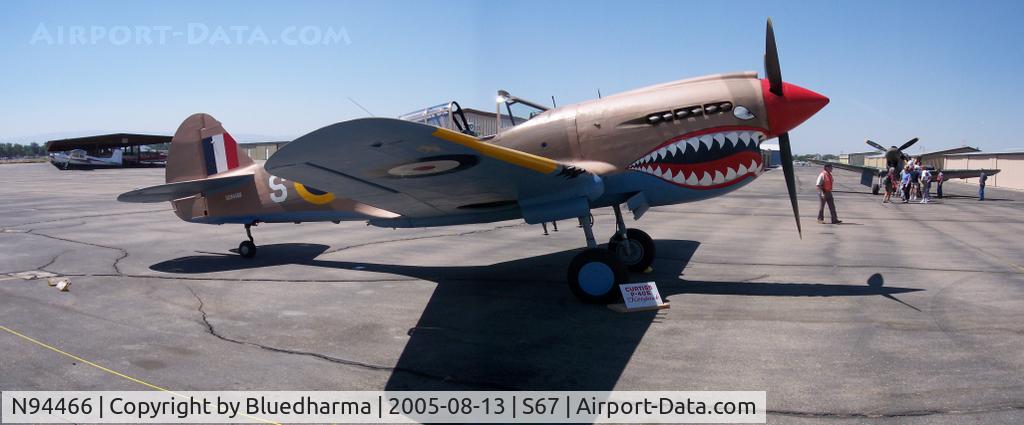 N94466, 1942 Curtiss P-40E C/N AK-899, Starboard Side