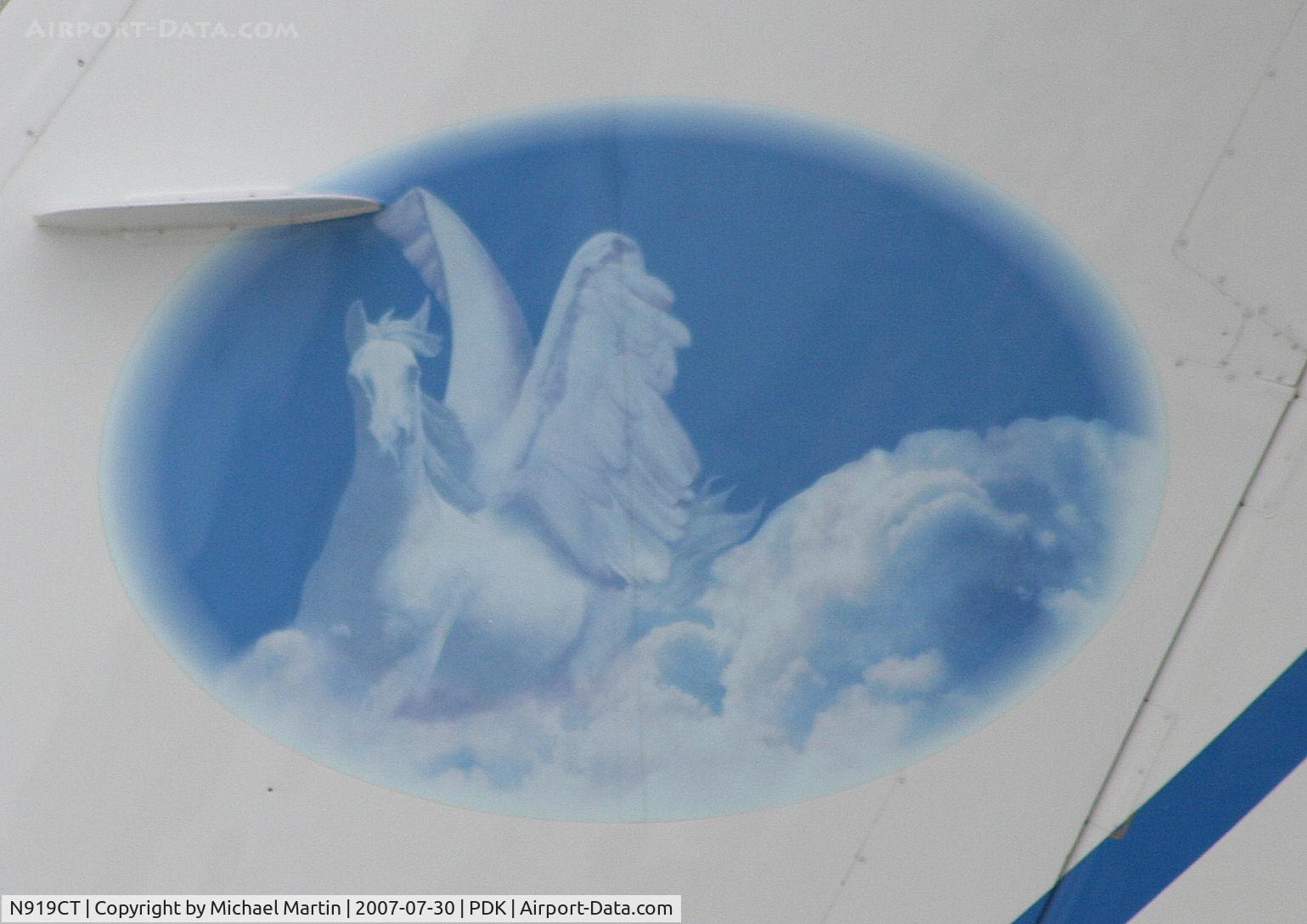 N919CT, 1988 Gulfstream Aerospace G-IV C/N 1051, Tail Art